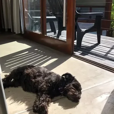 d84001_064fbc2be1e8427883acb82bb699c4d7~mv2